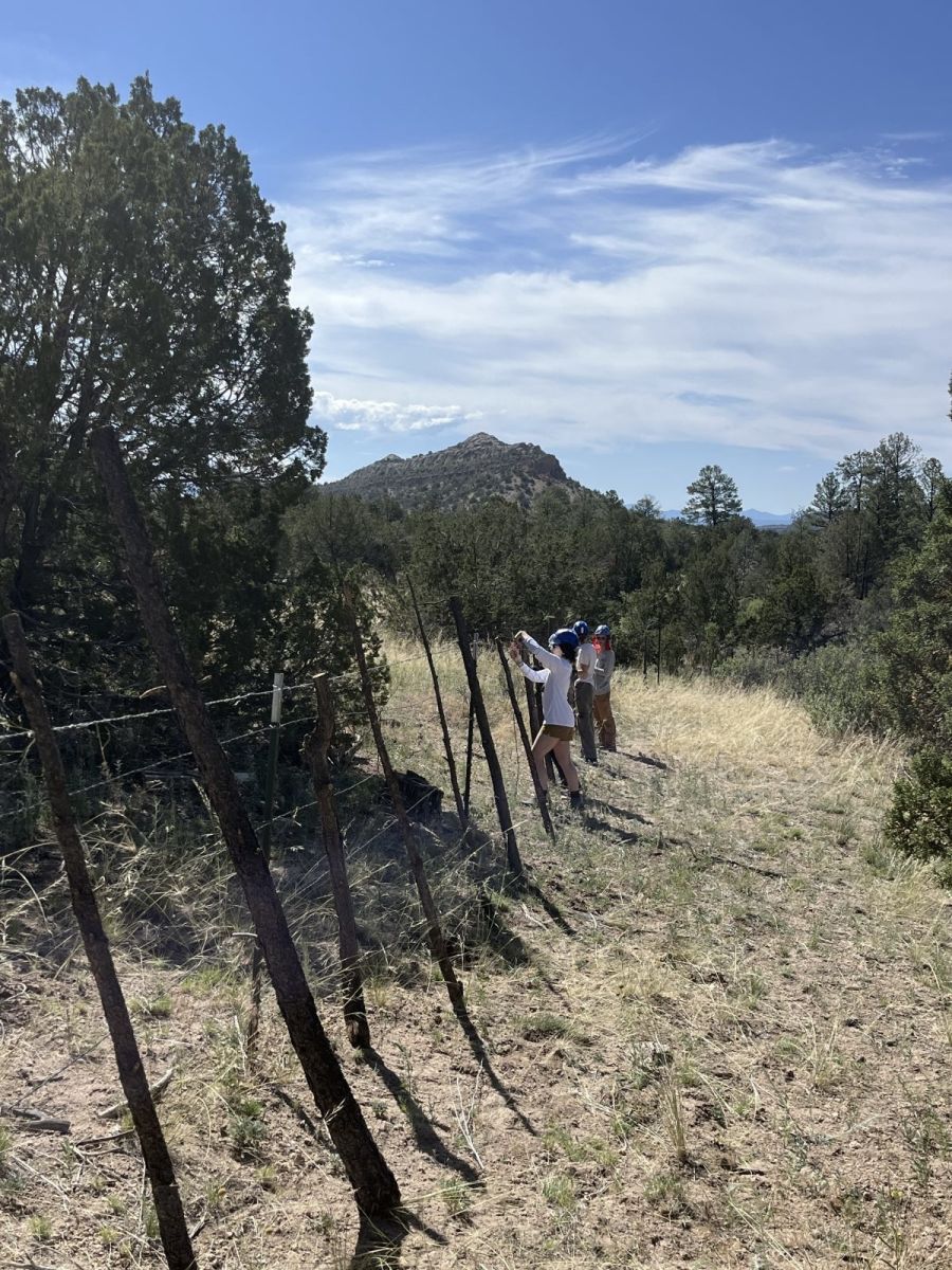 Crew repairing fencing along a ridgeline